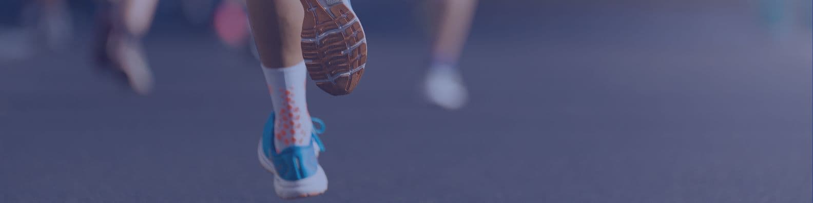 Stage 1 — Prépa trail · Février 2026